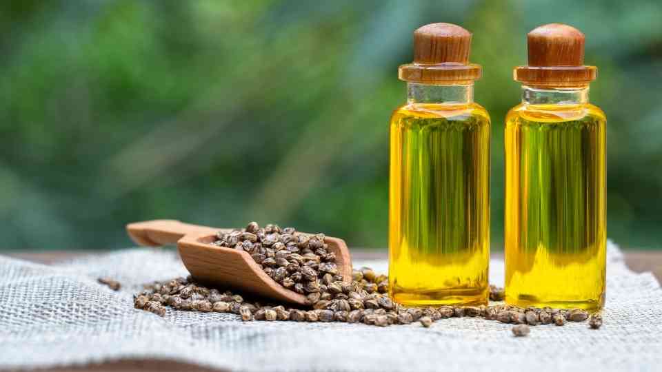 Benefits of Cannabis Sativa Seed Oil